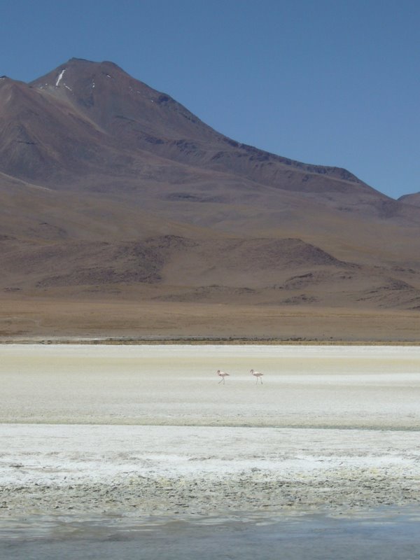 Laguna